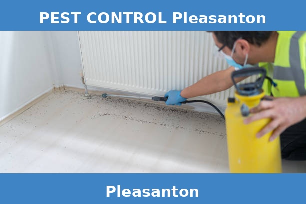 PEST CONTROL Pleasanton